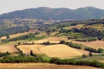 CollinePisane1.jpg