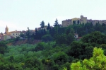 Lajatico.jpg